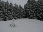 Depuis ce chalet on tourne à droite pour le chemin d'été en forêt