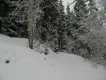 Vers 1750m, on laisse le chemin d'été, pentu et peu enneigé, pour continuer sur la route forestière sur la droite.