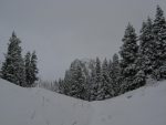 on sort de la forêt, avec Riondaz en face de nous.