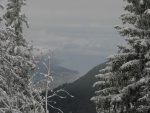 Une trouée dans la forêt, me permet de prendre en photo le lac.