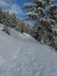 Puis je retrouve la route de Joux des Vents qui me mène sous Le Temeley, Pt1644