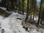 On s'enfonce dans la forêt, mais la neige se fait de plus en plus fine mais cela n'arrête pas des snowboarders dans les semelles ont dû garder quelques séquelles !