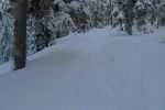 Chemin d'été vers Le Tomeley