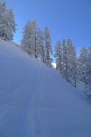 Bientôt la sortie de la forêt