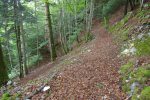 Le chemin est plein de feuilles mortes et descend bien