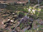 Juste en dessous, dans le lit de la rivière, cet amphithéatre : ancien lavoir ?