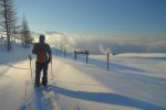 Les Agites de retour au soleil