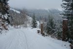 Retour à Luan