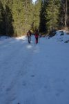 Reste de neige en forêt