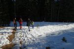 Rare trouée en forêt