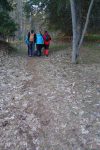 Retour en forêt