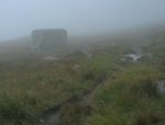 Me voilà dans la brume