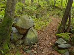 Et c'est parti pour une longue montée à travers la forêt