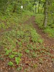 Le Chemin des Anes, piège à touristes