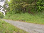 On coupe la route, pour mieux repartir dans la forêt