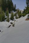 La Rogne, sous la neige.