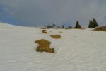 Bon la couche de neige est faible quand même. Montorbon au fond