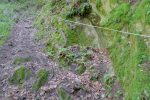 Montée raide en sous bois.