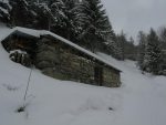 Fin de Les Mayeux, la hauteur de la neige est d'environ 20cm, on voit encore des herbes.