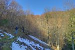 Le sentier monte doucement et nous permet de rejoindre une portion ensoleillée.