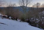 Au lieu de suivre le sentier, on poursuit droit en bas, le long du ruisseau.