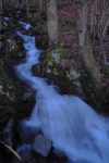 Le ruisseau que nous avons souvent traversé