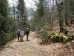 Puis on rentre dans la forêt