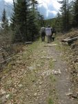 Chemin qui monte doucement et un peu dégarni dans certains passages