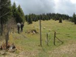 On sort de la forêt pour longer sa lisière et monter vers Châtel