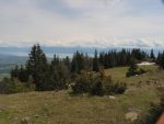 Vue sur le lac Léman