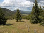 Puis on longe la forêt avant de la traverser