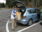 Et c'est aussi compliqué pour en faire rentrer un dans le coffre de la voiture !