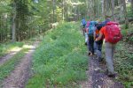 Après la Combe Grède, il faut quitter la route par le chemin de droite, mal indiqué