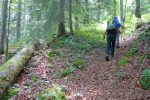 Nous sortons de la forêt aux Limes du Bas