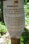 Information