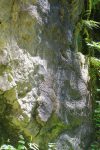 Traces des Anabaptistes
