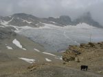 Le glacier de Plaine Morte