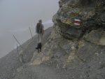 Nous venons de passer le col de Wisshorelücke et partons pour la cabane du Wildstrubel