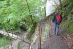 Chemin étroit