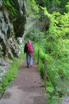 Sentier agréable