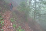 Chemin étroit
