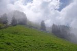La brume se lève enfin !