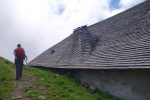 Chamossale