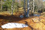 Le chemin officiel continue en bas, par le flanc de la montagne, mais sur la gauche il y a une sente sur la crête