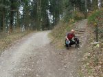 On emprunte une route forestière que l'on quitte vite pour ce chemin pédèstre.