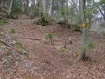 On monte dans un chemin boisé sur un tapis de feuilles