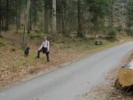 Vers 800m, on quitte la route pour le chemin à gauche. Bonne odeur de bois coupé !