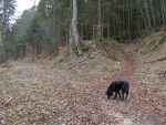 On croise à nouveau la route, et on en profite pour renifler les traces d'animaux !