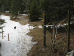 Poursuite sur le chemin d'été