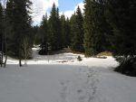 Joli vallon mais la neige commence à devenir génante.